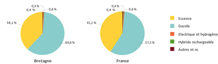 Figure 2 – Répartition des voitures particulières du parc roulant au 1er janvier 2021 selon le type d’énergie