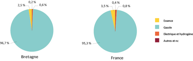 Figure 3 – Répartition du parc des VUL en circulation au 1er janvier 2021 selon le type d’énergie